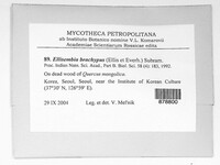 Image Associated With the Occurence